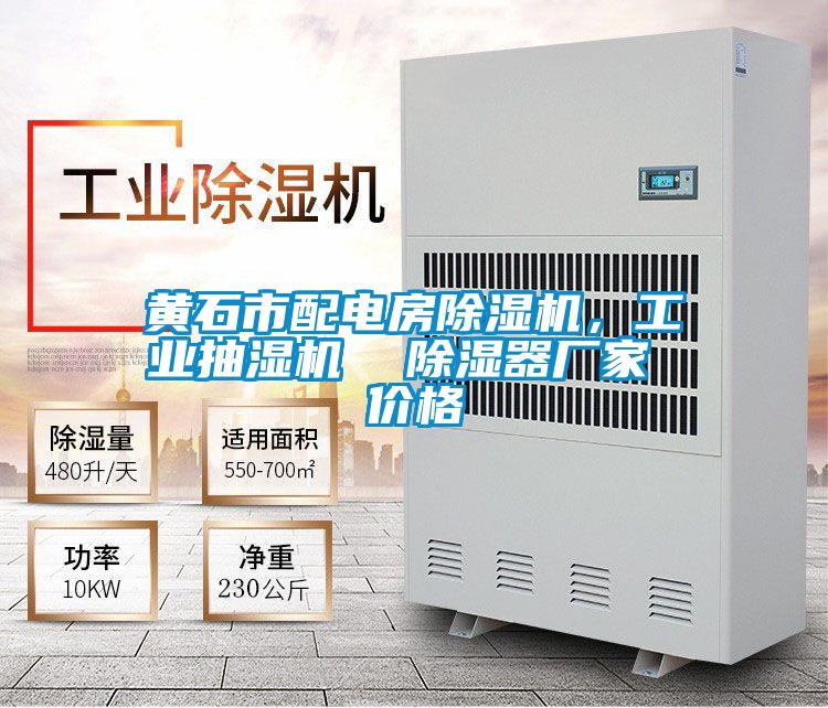 黃石市配電房除濕機(jī)，工業(yè)抽濕機(jī)  除濕器廠家 價(jià)格