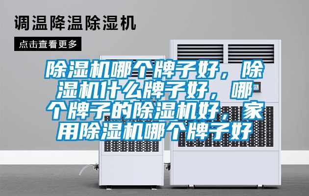除濕機(jī)哪個(gè)牌子好，除濕機(jī)什么牌子好，哪個(gè)牌子的除濕機(jī)好，家用除濕機(jī)哪個(gè)牌子好
