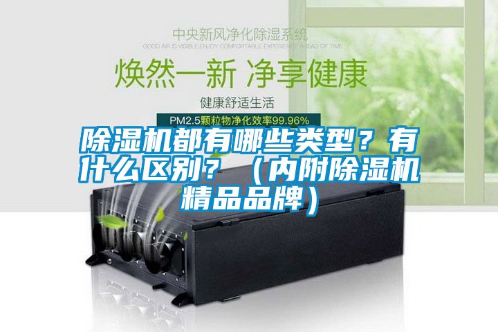 除濕機都有哪些類型？有什么區(qū)別？（內(nèi)附除濕機精品品牌）