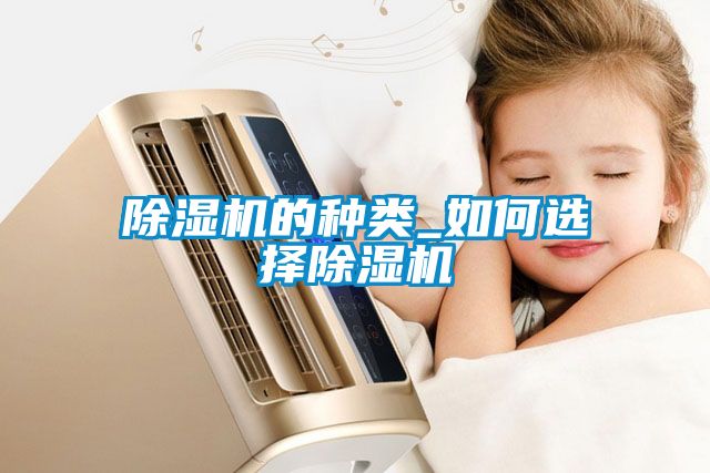 除濕機(jī)的種類(lèi)_如何選擇除濕機(jī)