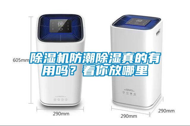除濕機(jī)防潮除濕真的有用嗎？看你放哪里