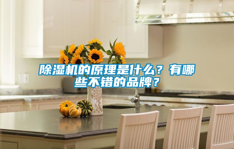 除濕機(jī)的原理是什么？有哪些不錯(cuò)的品牌？