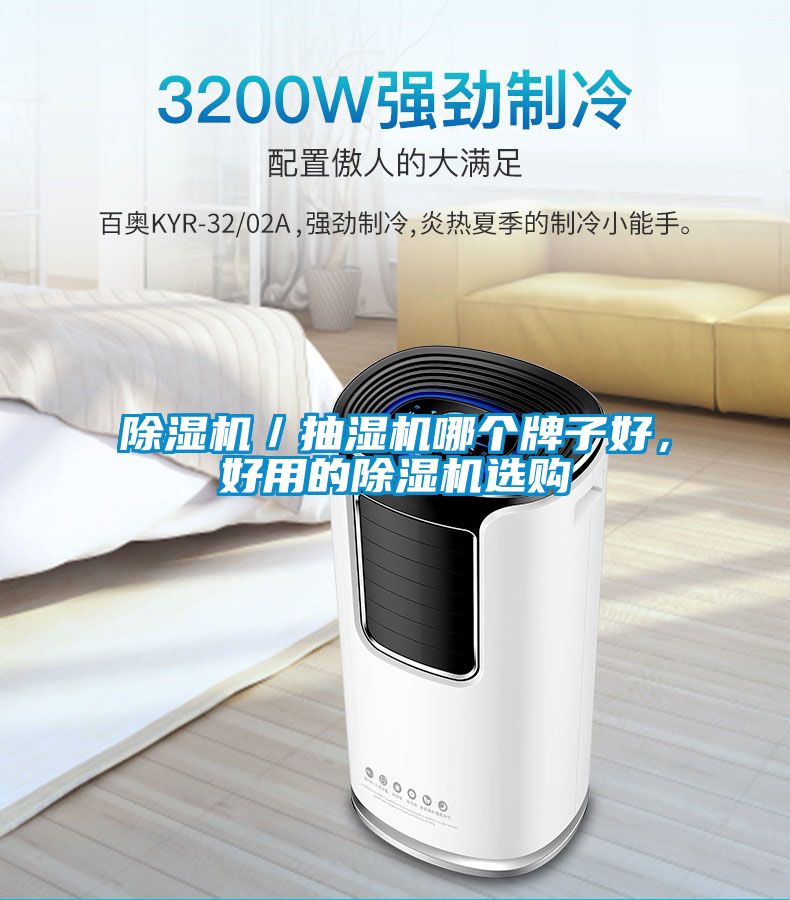 除濕機(jī)／抽濕機(jī)哪個(gè)牌子好，好用的除濕機(jī)選購
