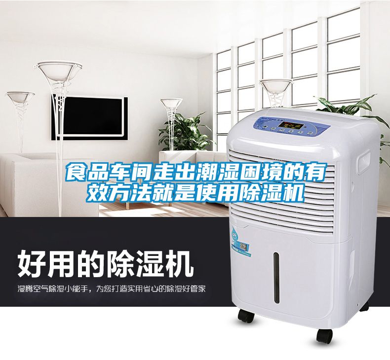 食品車間走出潮濕困境的有效方法就是使用除濕機(jī)