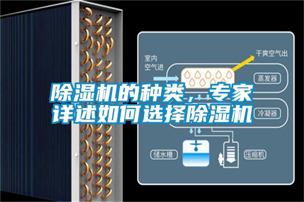除濕機(jī)的種類，專家詳述如何選擇除濕機(jī)