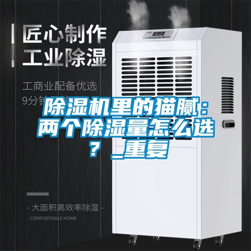 除濕機(jī)里的貓膩：兩個除濕量怎么選？_重復(fù)