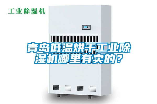 青島低溫烘干工業(yè)除濕機(jī)哪里有賣的？