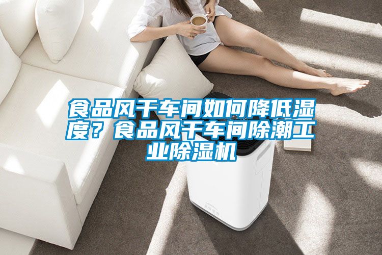 食品風(fēng)干車間如何降低濕度？食品風(fēng)干車間除潮工業(yè)除濕機(jī)